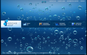 horseshoe-home-page1